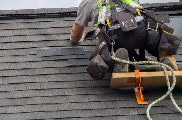 Professional Roofing Contractor in Port Byron, IL