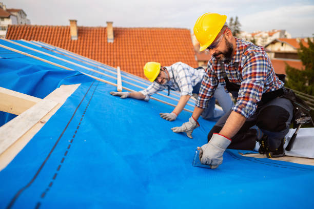 Best Commercial Roofing Services  in Port Byron, IL