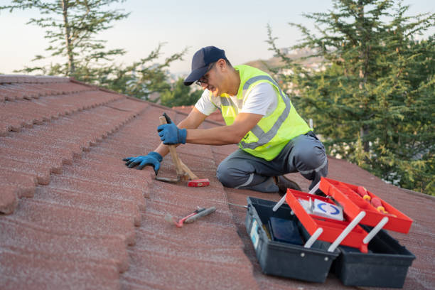 Best Tile Roofing Contractor  in Port Byron, IL