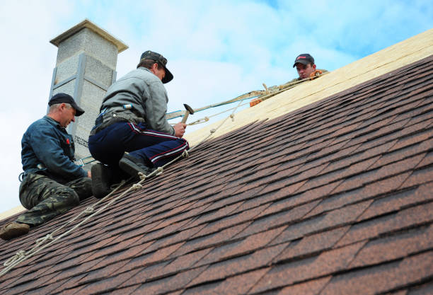 Quick and Trustworthy Emergency Roof Repair Services in Port Byron, IL