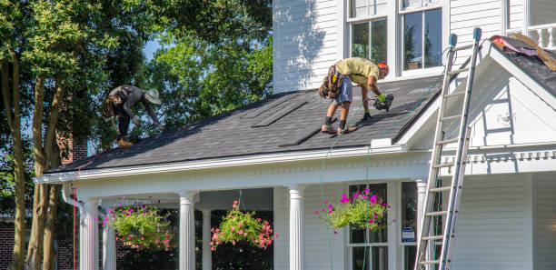 Best New Roof Installation  in Port Byron, IL
